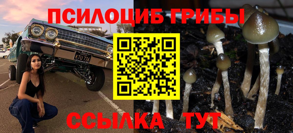 Псилоцибиновые грибы Cubensis  Вход с VPN  Майский 